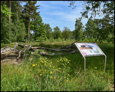 Schild zur Zeitreise in der Dingdener Heide