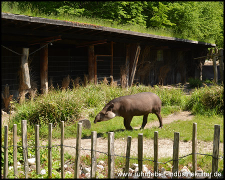 Dortmunder Zoo
