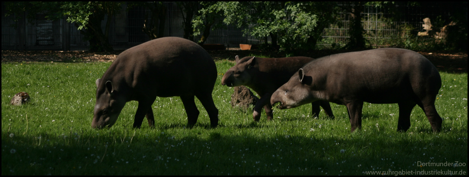 Zoo Dortmund