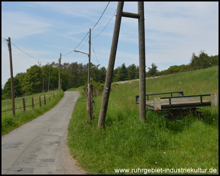 Nach dem Wartenberg verläuft der Weg durch Wiesen und Weiden