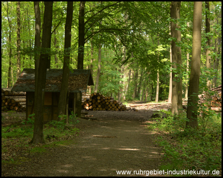 Schutzhütte am Drei-Türme-Weg