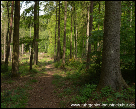 Das "Delta" am Baum: Wanderzeichen des Drei-Türme-Weges