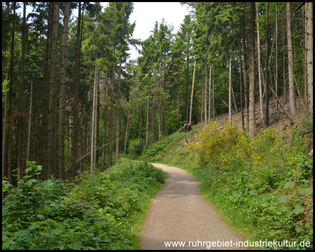 Im Naturschutzgebiet Kermelbach