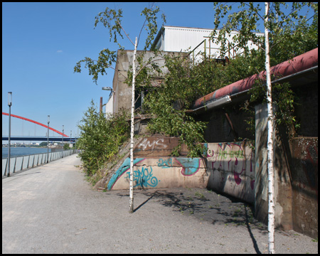 Promenade am Rhein