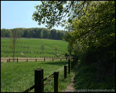 Pfad von Kückshausen zum Ebberg