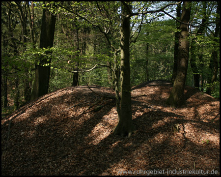 Bergehalde mitten im Wald