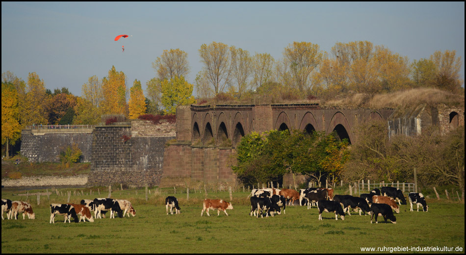 Vorlandbrücke mit Rinderweisen, hinten die Pfeiler der abgebauten Stahlbrücke. Zu sehen ist auch der Aussichtspunkt (ganz hinten)