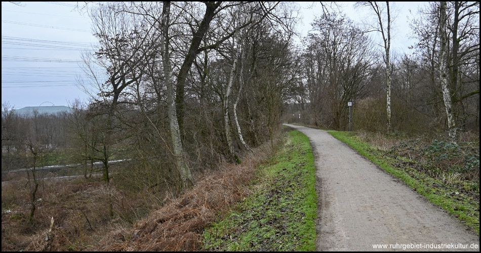 Bahntrassenweg auf hohem Damm durch den Emscherbruch. Hinten ist die Halde Hoheward zu erkennen.