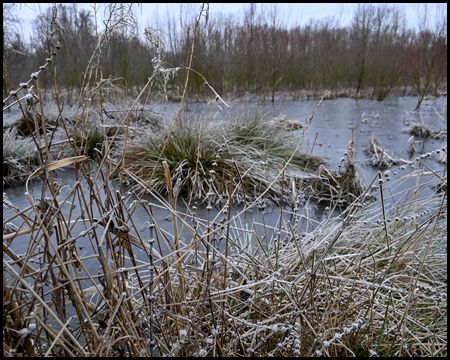 Wasserfläche zugefroren