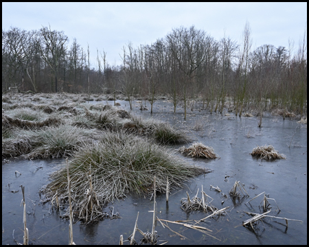 Wasserfläche zugefroren