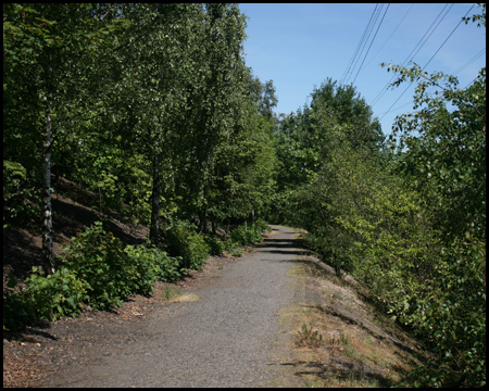 Emscherhalde im Nordsternpark