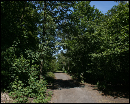 Emscherhalde im Nordsternpark