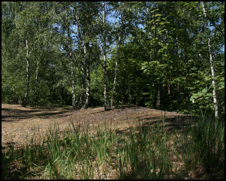 Emscherhalde im Nordsternpark