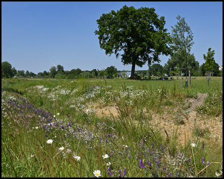 Bach durch einen Park