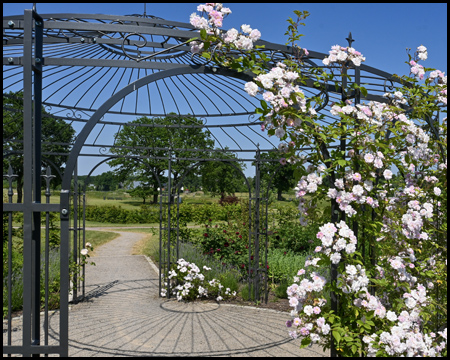 Rosen-Pavillon im Emscherland