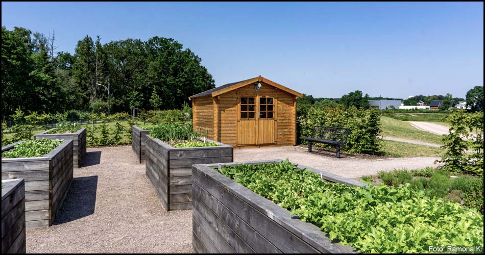 Hochbeete und Gartenhaus