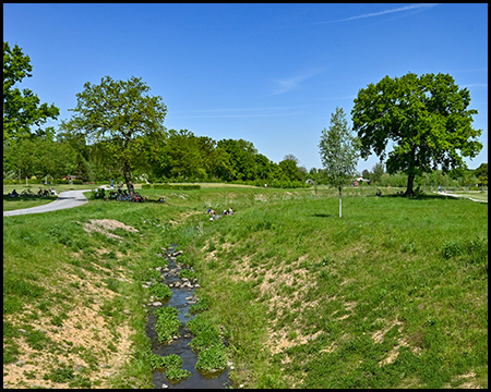 Ein kleiner Bach fließt durch eine grüne Wiese mit verstreuten Bäumen unter blauem Himmel
