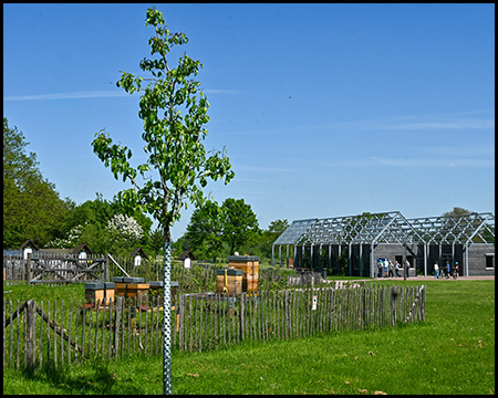 Ein Garten mit Holzzaun und jungen Pflanzen, im Hintergrund ein Gebäude mit Stahlrahmen und Glasdach.