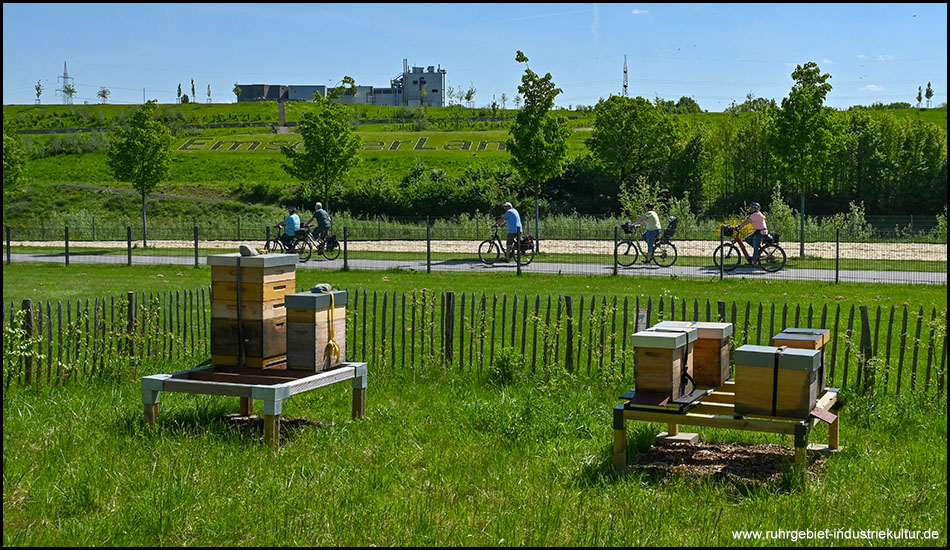 Bienenbeuten auf Holzgestellen hinter einem Zaun, Radfahrer auf einem Weg und eine grüne Hügellandschaft im Hintergrund.