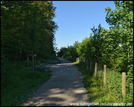 Zurück im Sommer vorbei an der Halde