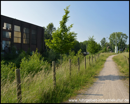 Emscherweg in Dorstfeld (Blick zurück)