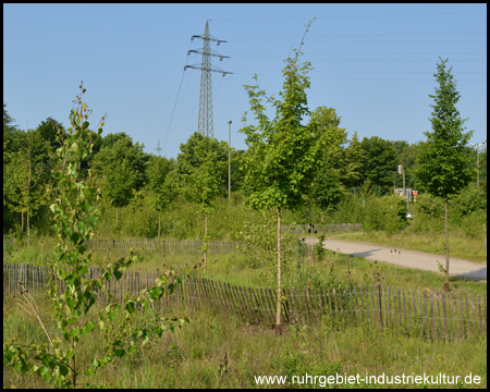 Staketenzäune am Radweg