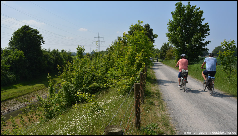 Fast unmerklich bergab folgt der Radweg der Emscher und bietet immer wieder Blicke zum Wasser