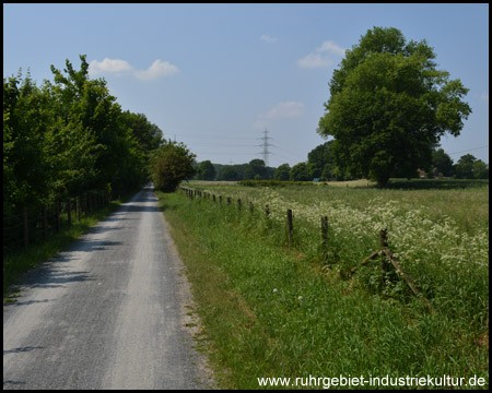 Der Radweg verläuft durch ländlichen Raum, es ist nicht viel los