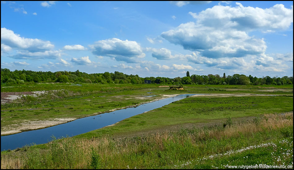 Panoramablick auf eine weitläufige Flussaue mit einem schmalen blauen Wasserlauf, der sich durch grüne und teilweise trockene Flächen schlängelt. Im Hintergrund sind Bäume und der Rand einer Siedlung unter einem bewölkten Himmel zu sehen.