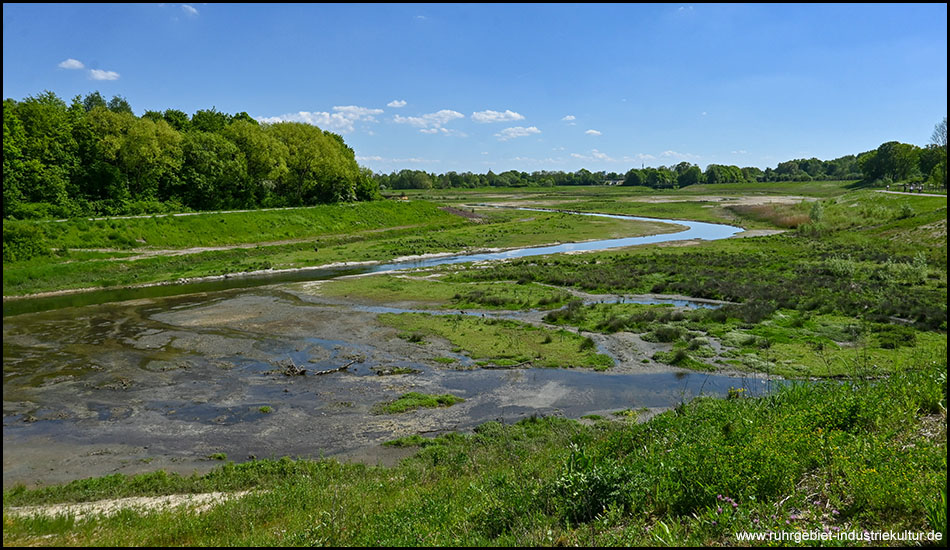 Weitwinkelaufnahme einer Flusslandschaft mit mehreren Wasserläufen, die sich durch teilweise sumpfige Bereiche und grüne Vegetation schlängeln. Die Landschaft wird von Bäumen und Büschen am Ufer gesäumt.