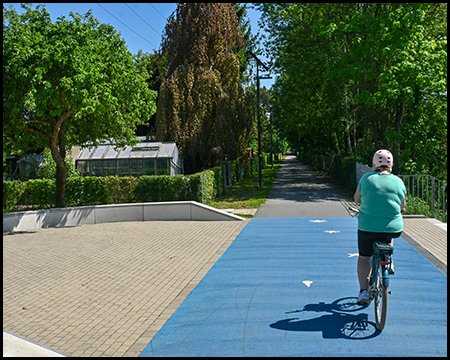 Eine Person mit türkisfarbenem Oberteil und rosafarbenem Helm fährt auf einem Fahrrad über einen blauen Fahrradweg. Links befindet sich ein gepflasterter Platz, im Hintergrund sind Bäume und ein Gewächshaus zu sehen.