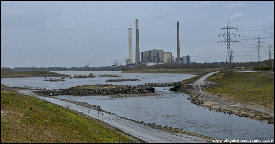 Das neue Emscherdelta: Mündungsaue am Rhein (leichtes Hochwasser)