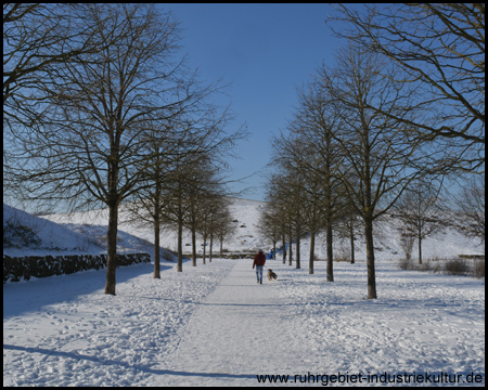 Erinpark im Schnee