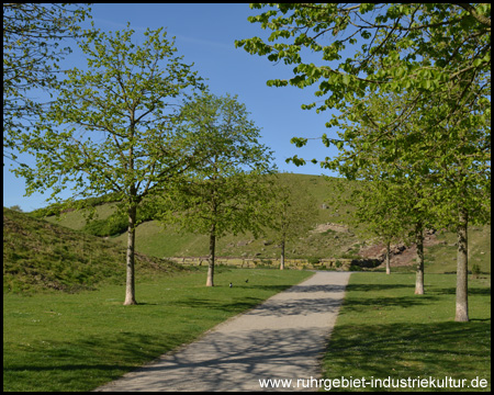 Früher Gelände der Zeche und Kokerei Erin