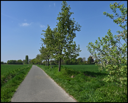 Wirtschaftsweg zwischen Feldern