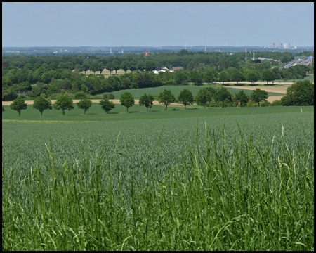 Blick in die Ebene mit Baumalleen