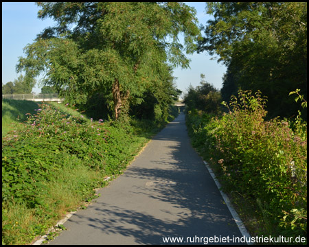 Gut ausgebauter Radweg auf der alten Erzbahn