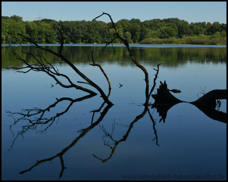 Ewaldsee in Gelsenkirchen und Herten