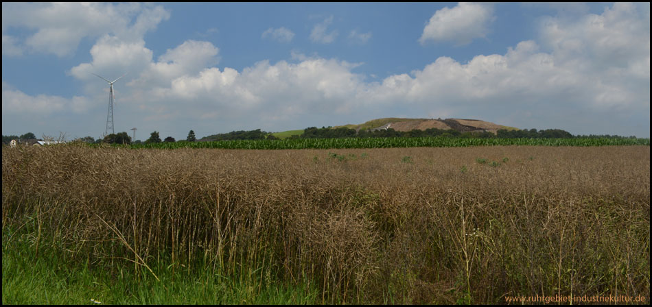 Giftmülldeponie Eyller Berg im Landschaftsschutzgebiet bei Kamp-Lintfort – Blick von der Landstraße aus Richtung Rayen