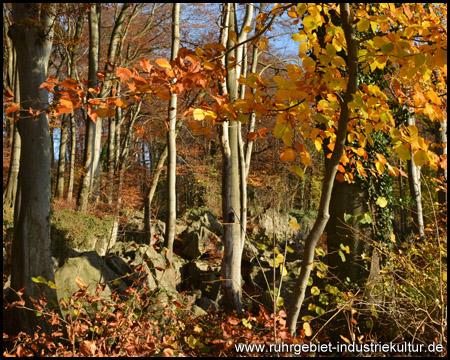 Felsenmeer in Hemer