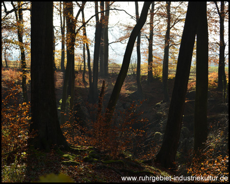 Felsenmeer in Hemer