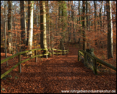 Felsenmeer in Hemer