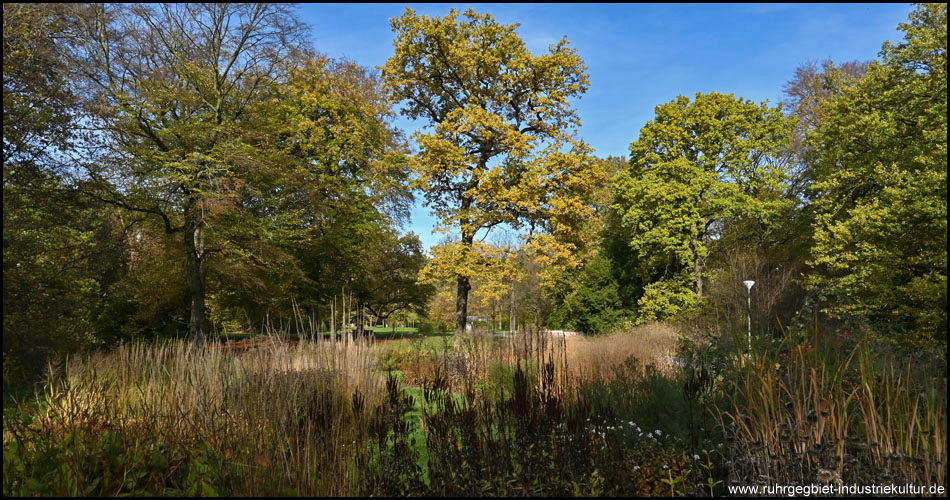 Fredenbaumpark im Herbst