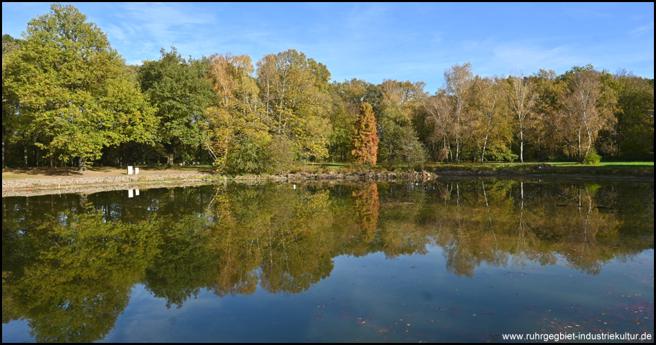 Teich im Fredenbaumpark mit spiegelnden Bäumen im Herbst