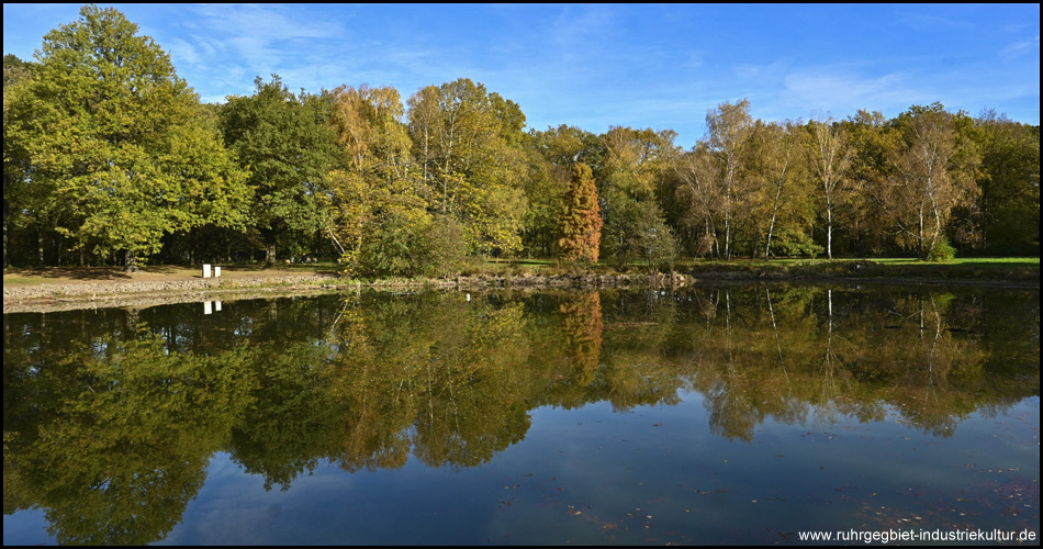 Teich im Fredenbaumpark mit spiegelnden Bäumen im Herbst