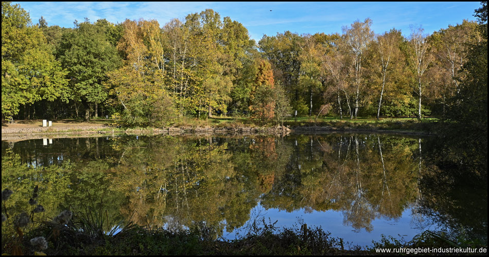 Teich im Fredenbaumpark