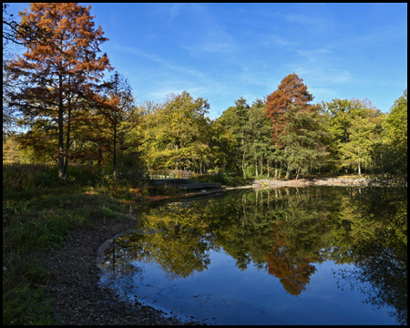 Teich mit spiegelnden Herbstbäumen