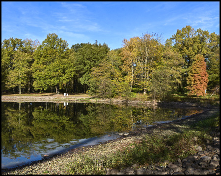 Teich mit spiegelnden Herbstbäumen