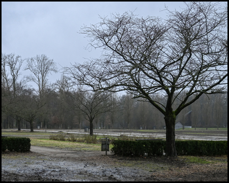 Wiese im Fredenbaumpark im Winter