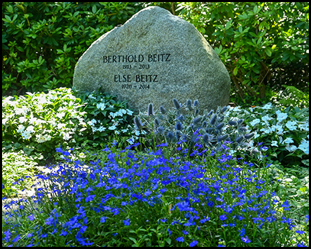 Schlicht gestalteter Grabstein aus Naturstein für Berthold und Else Beitz inmitten blühender Vegetation. Vor dem Stein leuchten blaue Blumen inmitten weißer Blüten.